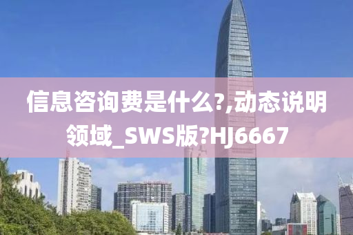 信息咨询费是什么?,动态说明领域_SWS版?HJ6667