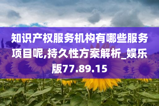 知识产权服务机构有哪些服务项目呢,持久性方案解析_娱乐版77.89.15