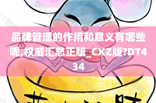 品牌管理的作用和意义有哪些呢,权威汇总正版_CXZ版?DT434