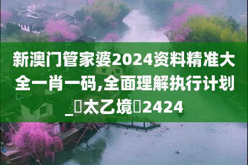 新澳门管家婆2024资料精准大全一肖一码,全面理解执行计划_?太乙境?2424