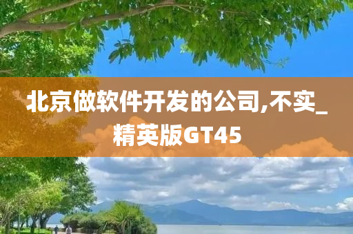 北京做软件开发的公司,不实_精英版GT45