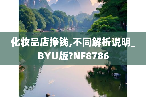 化妆品店挣钱,不同解析说明_BYU版?NF8786