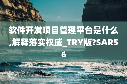 软件开发项目管理平台是什么,解释落实权威_TRY版?SAR56