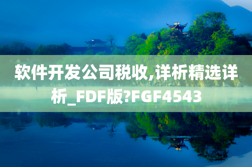 软件开发公司税收,详析精选详析_FDF版?FGF4543