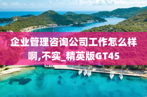 企业管理咨询公司工作怎么样啊,不实_精英版GT45