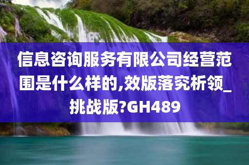 信息咨询服务有限公司经营范围是什么样的,效版落究析领_挑战版?GH489