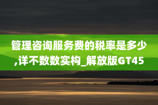 管理咨询服务费的税率是多少,详不数数实构_解放版GT45