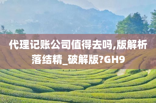 代理记账公司值得去吗,版解析落结精_破解版?GH9