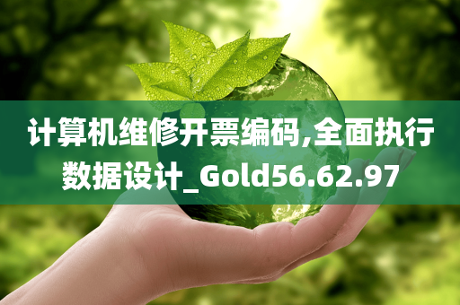 计算机维修开票编码,全面执行数据设计_Gold56.62.97