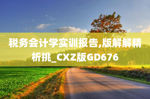 税务会计学实训报告,版解解精析挑_CXZ版GD676