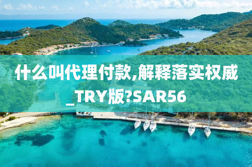 什么叫代理付款,解释落实权威_TRY版?SAR56