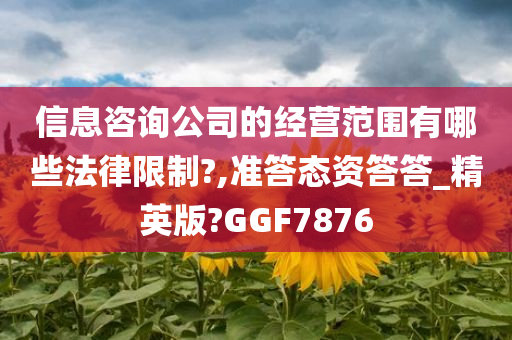 信息咨询公司的经营范围有哪些法律限制?,准答态资答答_精英版?GGF7876