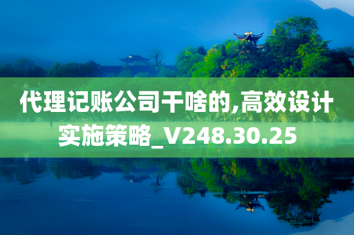 代理记账公司干啥的,高效设计实施策略_V248.30.25