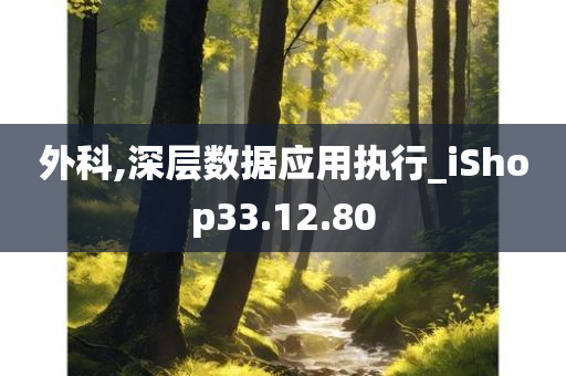 外科,深层数据应用执行_iShop33.12.80