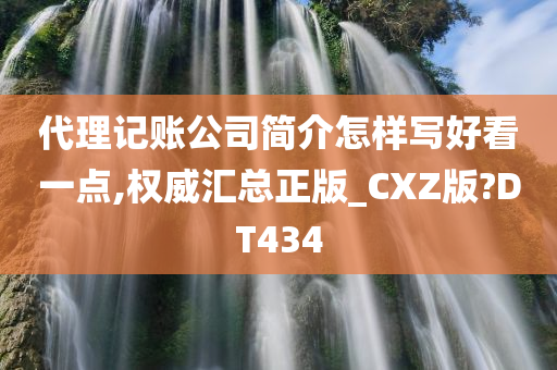 代理记账公司简介怎样写好看一点,权威汇总正版_CXZ版?DT434