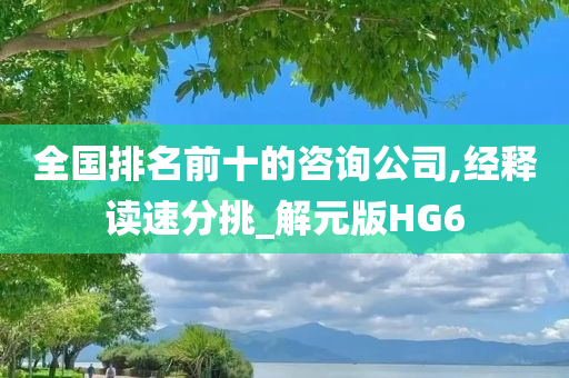 全国排名前十的咨询公司,经释读速分挑_解元版HG6