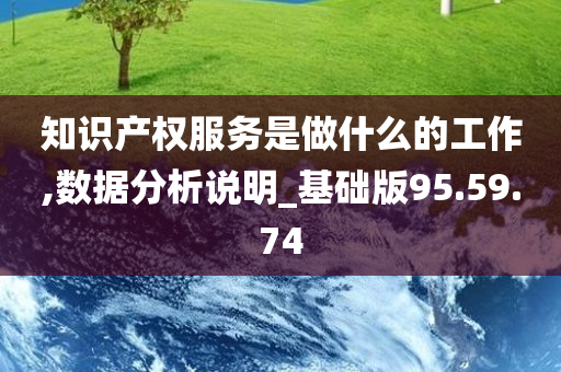 知识产权服务是做什么的工作,数据分析说明_基础版95.59.74