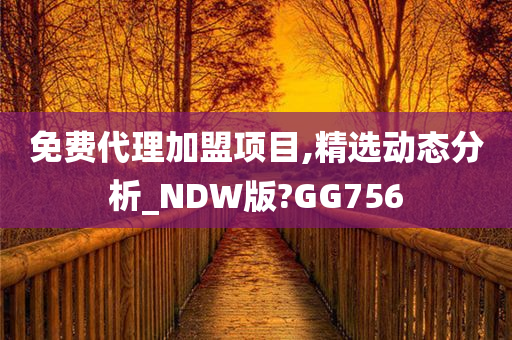 免费代理加盟项目,精选动态分析_NDW版?GG756