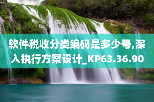 软件税收分类编码是多少号,深入执行方案设计_KP63.36.90