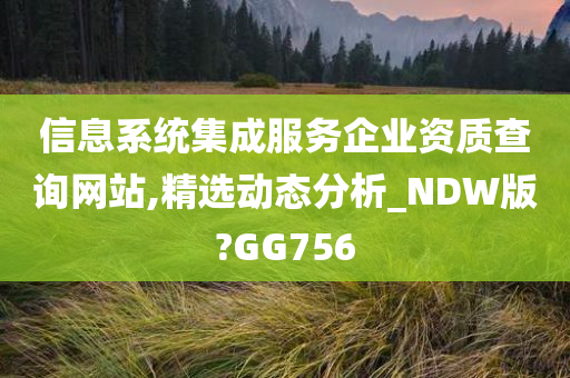 信息系统集成服务企业资质查询网站,精选动态分析_NDW版?GG756