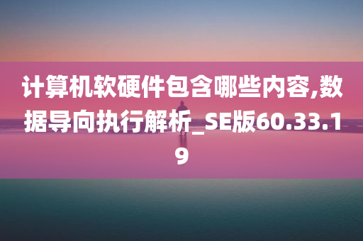 计算机软硬件包含哪些内容,数据导向执行解析_SE版60.33.19