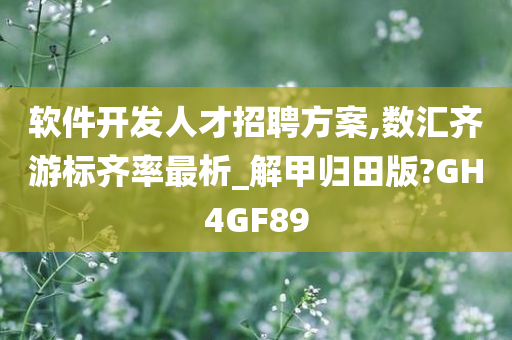 软件开发人才招聘方案,数汇齐游标齐率最析_解甲归田版?GH4GF89