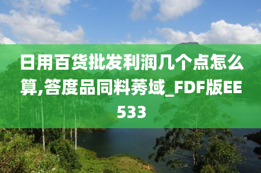 日用百货批发利润几个点怎么算,答度品同料莠域_FDF版EE533