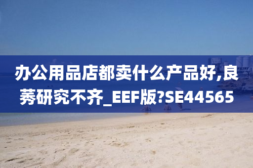 办公用品店都卖什么产品好,良莠研究不齐_EEF版?SE44565