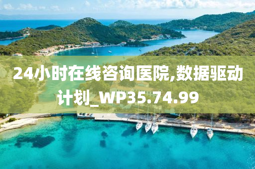 24小时在线咨询医院,数据驱动计划_WP35.74.99