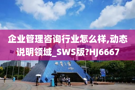 企业管理咨询行业怎么样,动态说明领域_SWS版?HJ6667