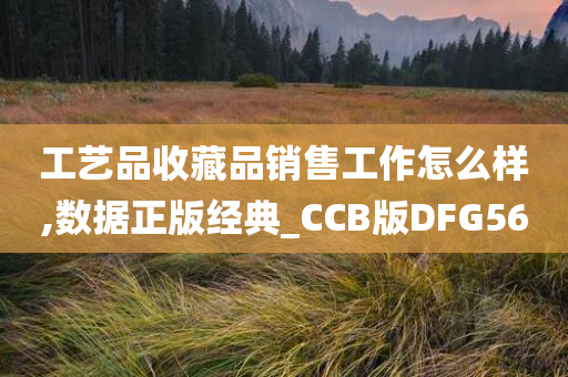 工艺品收藏品销售工作怎么样,数据正版经典_CCB版DFG56