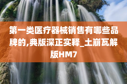 第一类医疗器械销售有哪些品牌的,典版深正实释_土崩瓦解版HM7