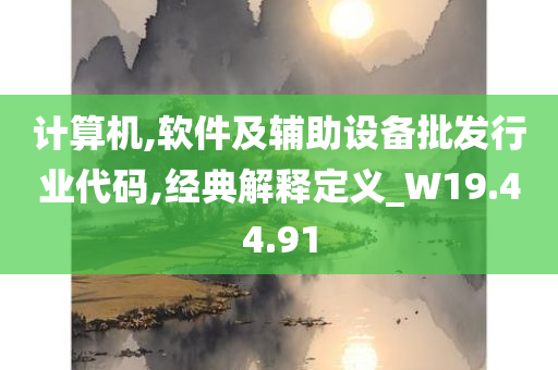 计算机,软件及辅助设备批发行业代码,经典解释定义_W19.44.91