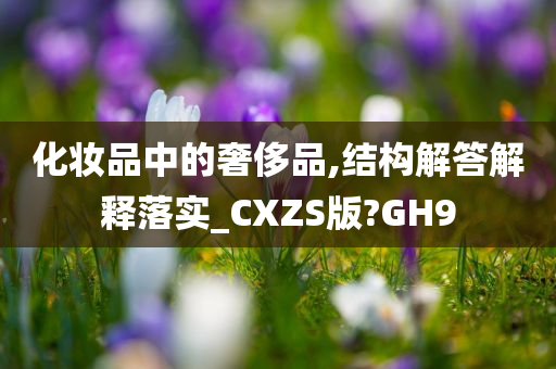 化妆品中的奢侈品,结构解答解释落实_CXZS版?GH9