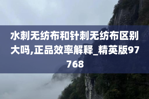 水刺无纺布和针刺无纺布区别大吗,正品效率解释_精英版97768