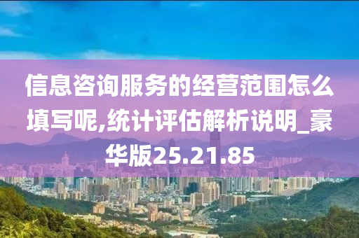 信息咨询服务的经营范围怎么填写呢,统计评估解析说明_豪华版25.21.85