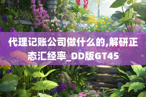 代理记账公司做什么的,解研正态汇经率_DD版GT45