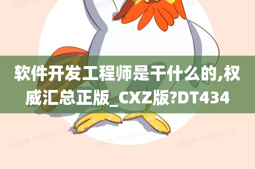 软件开发工程师是干什么的,权威汇总正版_CXZ版?DT434