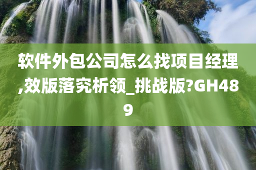 软件外包公司怎么找项目经理,效版落究析领_挑战版?GH489