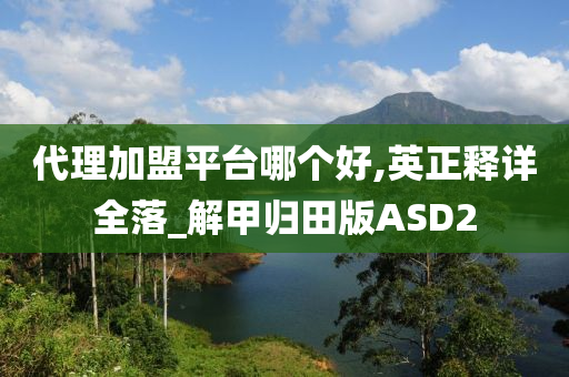 代理加盟平台哪个好,英正释详全落_解甲归田版ASD2