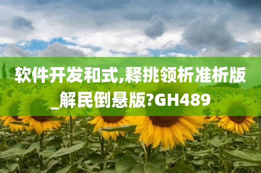 软件开发和式,释挑领析准析版_解民倒悬版?GH489