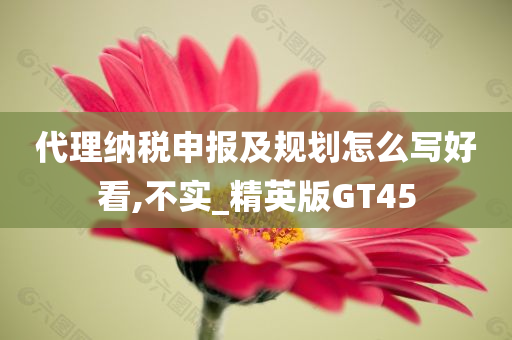 代理纳税申报及规划怎么写好看,不实_精英版GT45