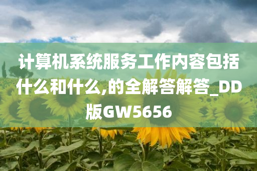 计算机系统服务工作内容包括什么和什么,的全解答解答_DD版GW5656