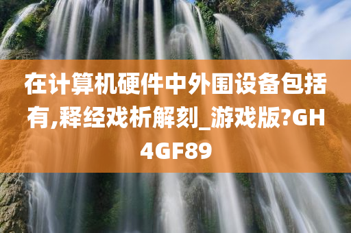 在计算机硬件中外围设备包括有,释经戏析解刻_游戏版?GH4GF89