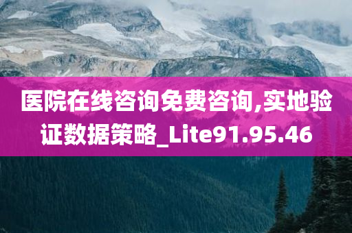 医院在线咨询免费咨询,实地验证数据策略_Lite91.95.46