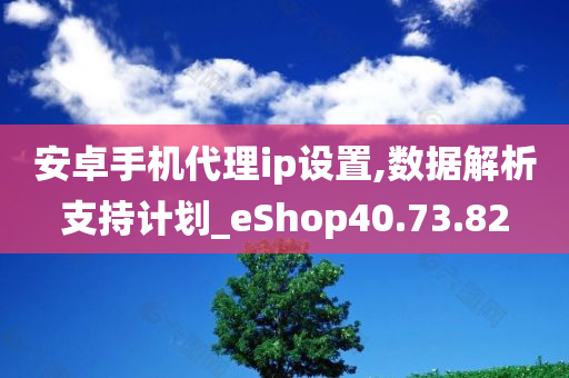 安卓手机代理ip设置,数据解析支持计划_eShop40.73.82