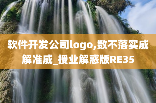 软件开发公司logo,数不落实威解准威_授业解惑版RE35