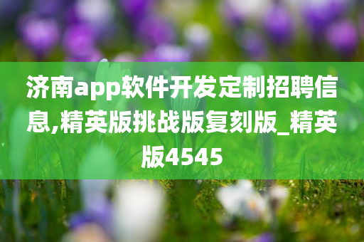 济南app软件开发定制招聘信息,精英版挑战版复刻版_精英版4545