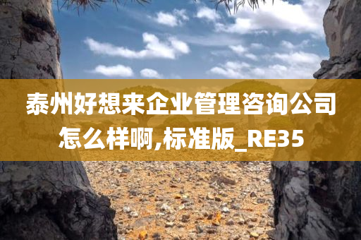 泰州好想来企业管理咨询公司怎么样啊,标准版_RE35