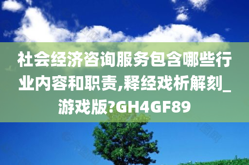 社会经济咨询服务包含哪些行业内容和职责,释经戏析解刻_游戏版?GH4GF89